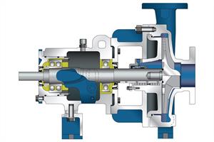 CSD Process ANSI